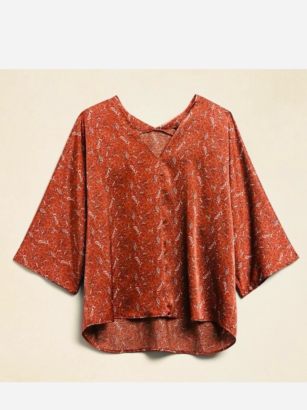 Silky V neck Blouse